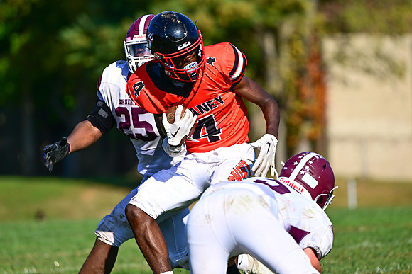 Dulaney-v-Towson3546