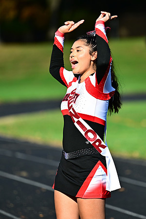 Dulaney-v-Towson3739