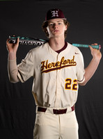 Hereford-00030