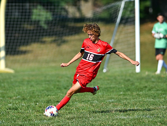 Lions-00572