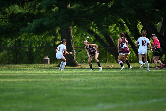 Dulaney-v-Towson-03045