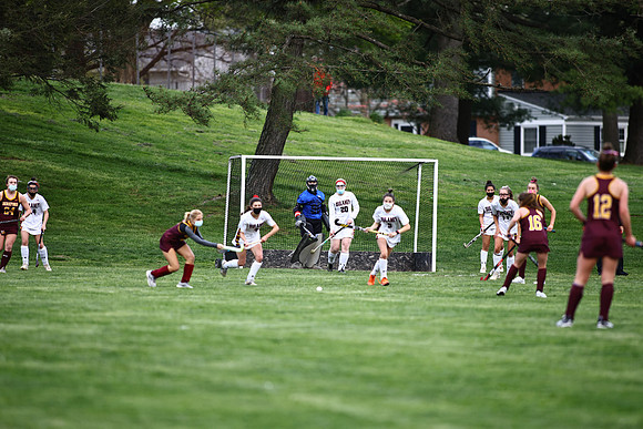 Dulaney-v-Hereford343