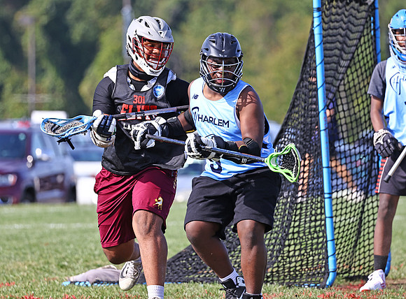 MdLax10-2-115