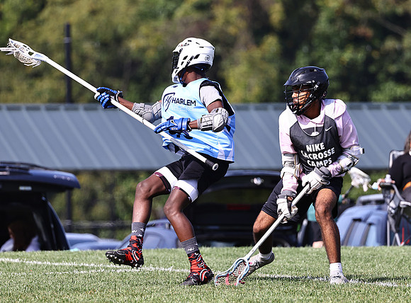MdLax10-2-130