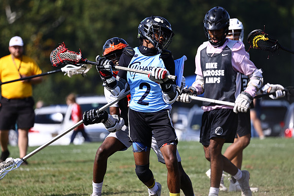 MdLax10-2-149