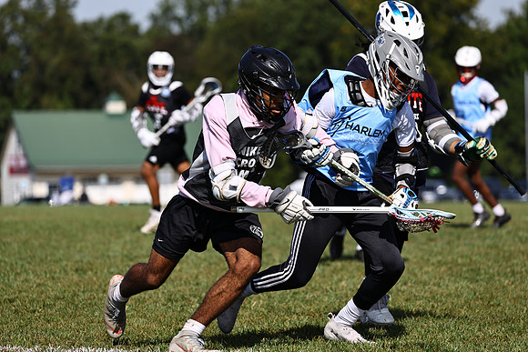 MdLax10-2-161