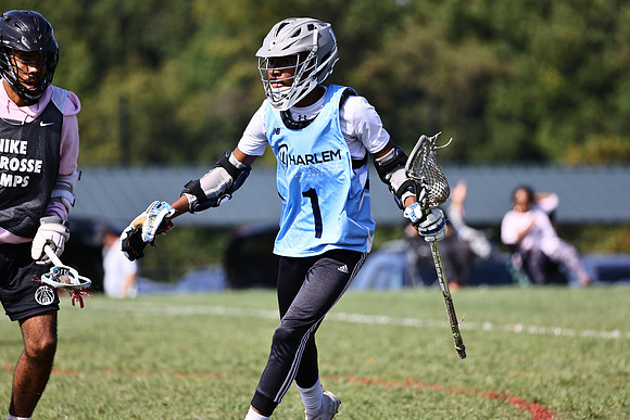 MdLax10-2-167