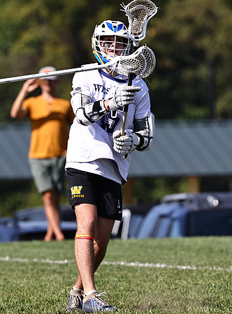 MdLax10-2-229