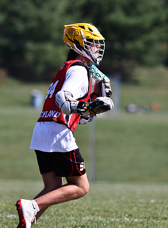 MdLax10-2-243