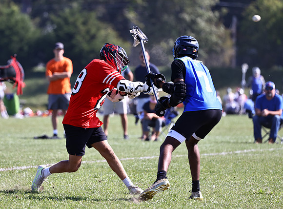 MdLax10-2-250