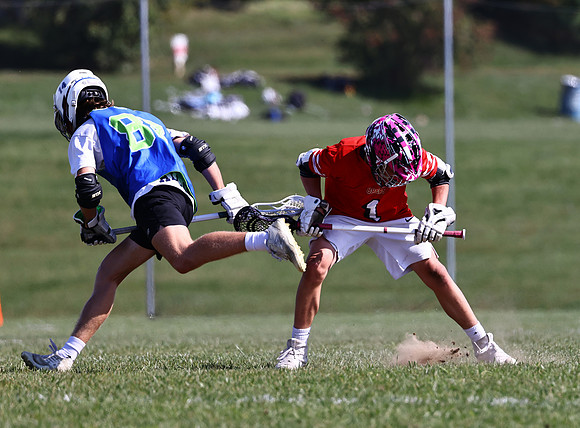 MdLax10-2-260