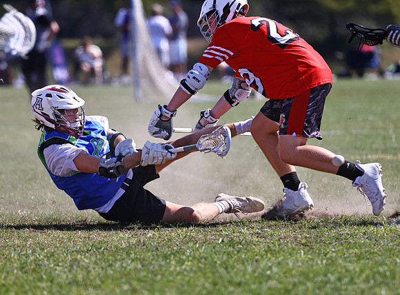 MdLax10-2-313