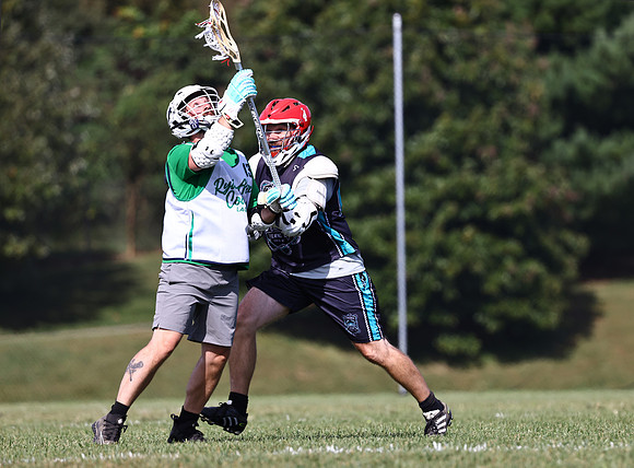 MdLax10-2-1588