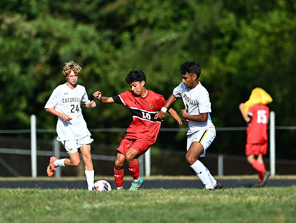 Lions-00504