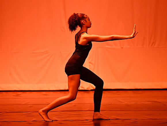 NTHSSeniorShowcase0215