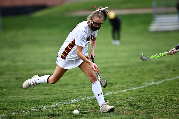 Dulaney-v-Hereford375