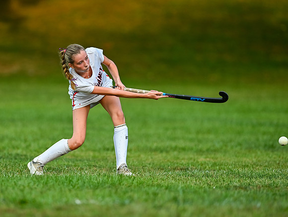 Dulaney-v-Towson-04621