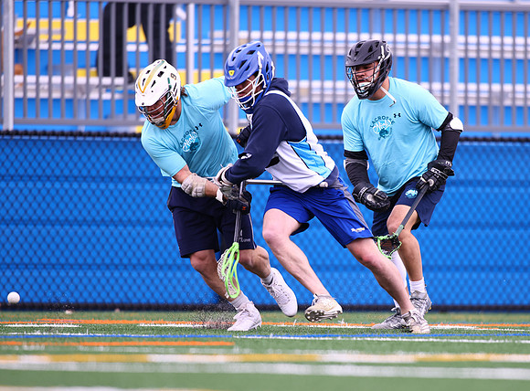 MdLax3-20-22-1572