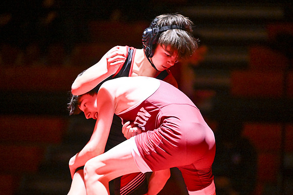 Dulaney-v-Towsonl133