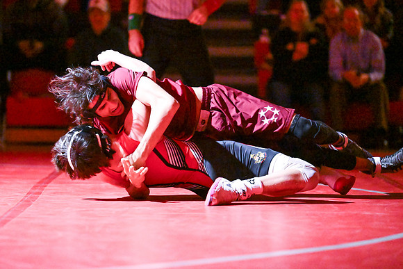Dulaney-v-Towsonl217