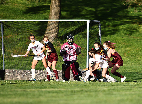 Dulaney-v-Hereford506