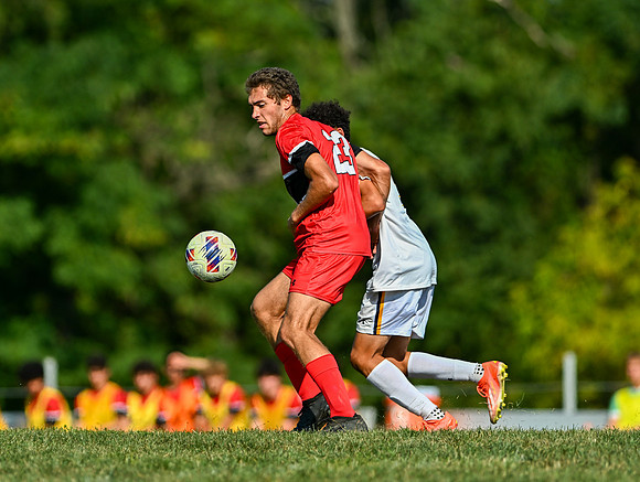 Lions-00365