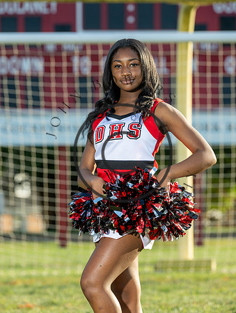 Lions-00977