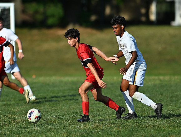 Lions-01303