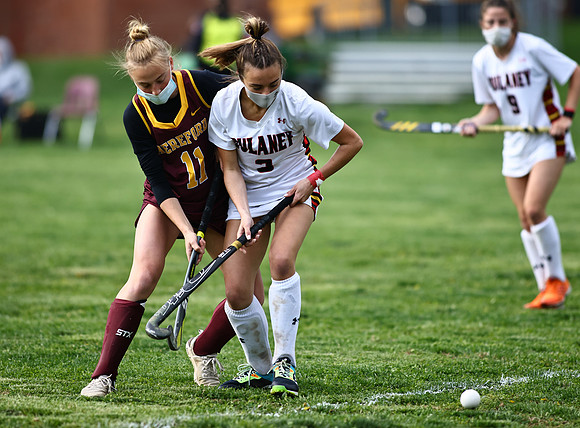 Dulaney-v-Hereford108
