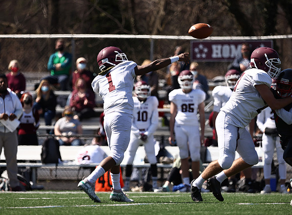 Dulaney-v-Towson1851