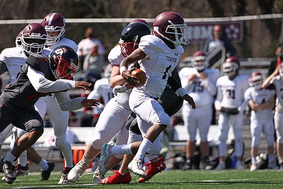 Dulaney-v-Towson1867
