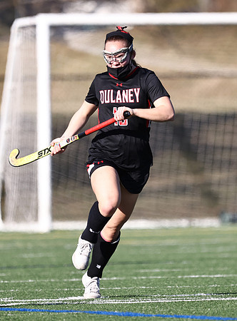 Dulaney-v-Towson173