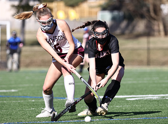 Dulaney-v-Towson95