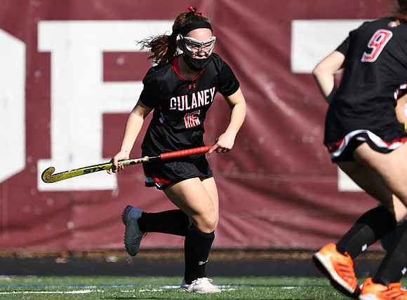 Dulaney-v-Towson102