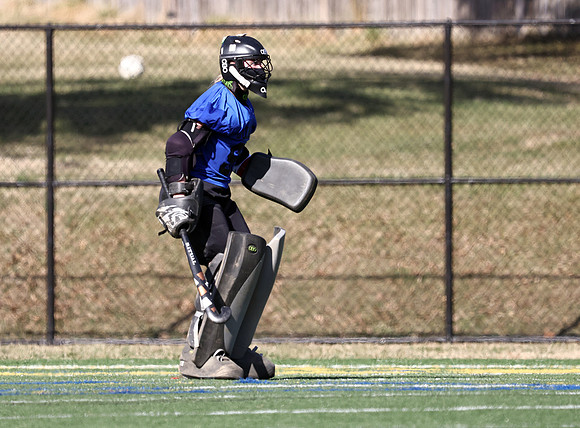 Dulaney-v-Towson112