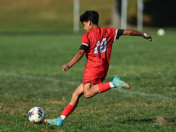 Lions-00853