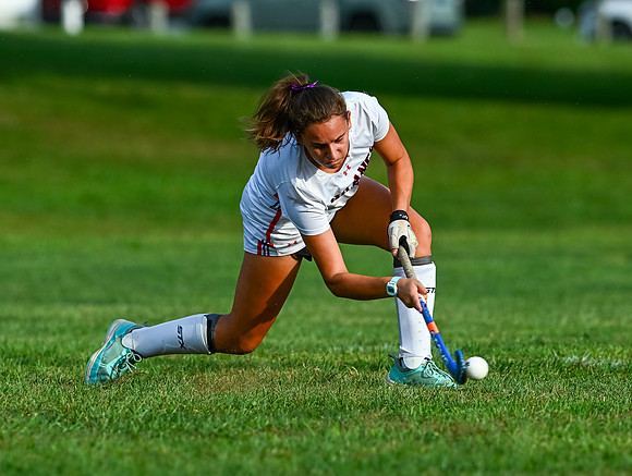Dulaney-v-Towson-03400