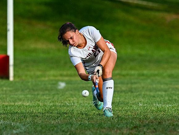 Dulaney-v-Towson-03797