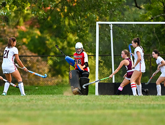 Dulaney-v-Towson-04994