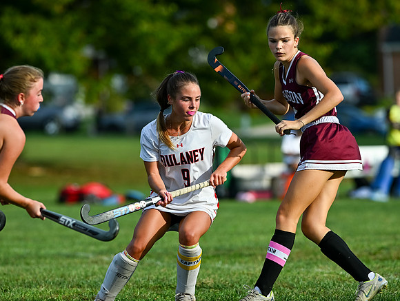 Dulaney-v-Towson-03301