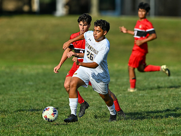 Lions-01376
