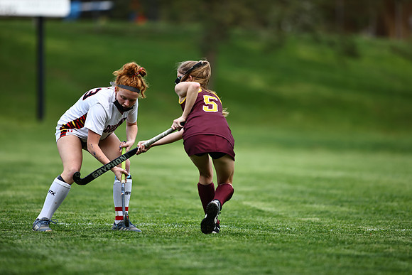 Dulaney-v-Hereford263
