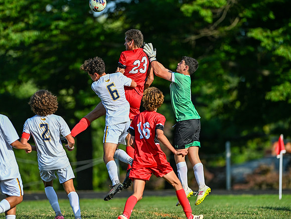 Lions-00977