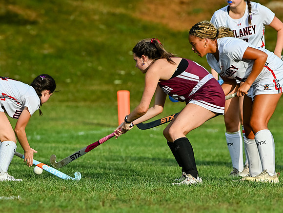 Dulaney-v-Towson-03608