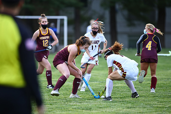 Dulaney-v-Hereford612