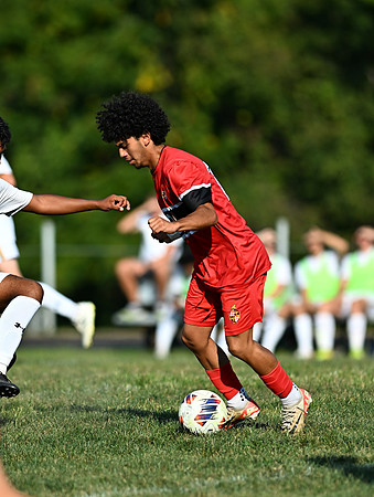Lions-00895