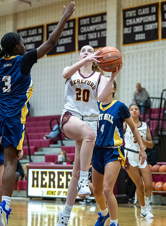 HerefordWBBall-00754