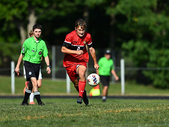 Lions-00641