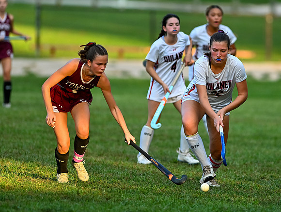 Dulaney-v-Towson-05128