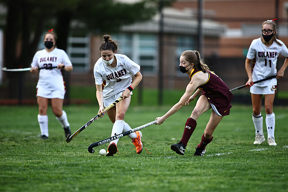 Dulaney-v-Hereford527